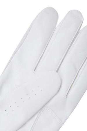 画像5: アニュー ゴルフ ANEW GOLF MEN LOGO POINT MESH GLOVES (LH){-BEA}
