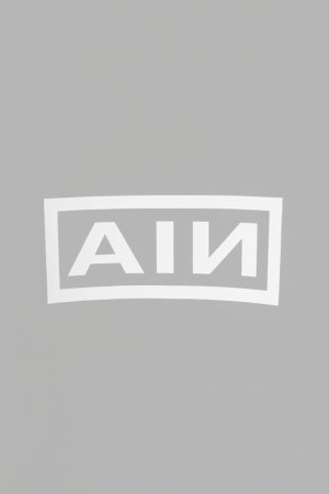 画像4:  {SOLD} AUI NITE アウィナイト AN box logo tee{-BES}
