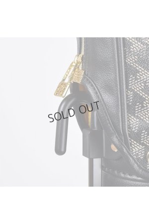 画像10: レザレクション｜Resurrection アルデア No.3{-BEA}