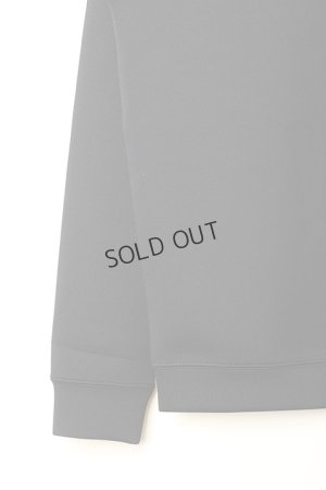 画像4: {SOLD}ブリーフィング ゴルフ BRIEFING GOLF WS 3D LOGO CREW NECK{-BBA}