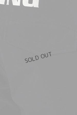 画像4: {SOLD}ブリーフィング ゴルフ BRIEFING MEN’S WATERPROOF PANTS{-BEA}