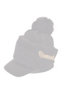   レザレクション｜Resurrection バイザーニットキャップ(ネックウォーマー付き){-BEA}