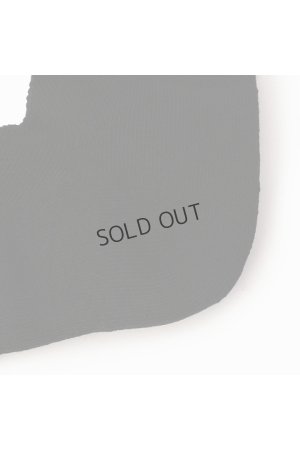 画像4: {SOLD}ブリーフィング ゴルフ BRIEFING MENS CORDURA BASIC SOCKS{-BDS}