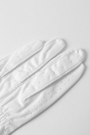 画像8: ブリーフィング ゴルフ BRIEFING MENS ANTIVIRUS TOUGH FIT GLOVE-L{-BCA}