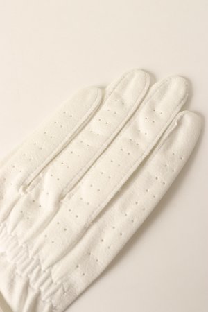 画像5: ブリーフィング ゴルフ BRIEFING WOMENS ANTIVIRUS TOUGH FIT GLOVE-L{-BCA}