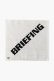 画像1: 【24SS新作】 ブリーフィング ゴルフ BRIEFING LOGO WASH TOWEL BY HIPPOPOTAMUS{-BDS} (1)
