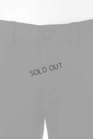 画像5: {SOLD}ブリーフィング ゴルフ BRIEFING MENS SIDE LOGO LINE SHORT PANTS{-BDS}