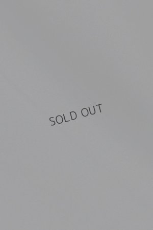 画像13: {SOLD}ブリーフィング ゴルフ BRIEFING 【KING SIZE 2XL~4XL】MENS 3D LOGO PARKA{-BDA}