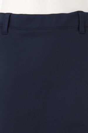 画像9: 【 30%OFF セール26,400円→18,480円】 ブリーフィング ゴルフ BRIEFING WOMENS SIDE LOGO LINE SKIRT{-BDS}