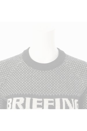 画像3:   ブリーフィング ゴルフ BRIEFING WOMEN'S MERINO WOOL LOGO CREWNECK KNIT{-BDA}