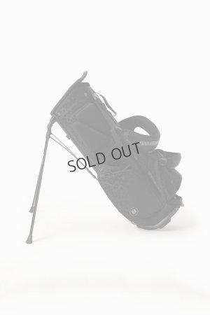 画像4: {SOLD}ブリーフィング ゴルフ BRIEFING CR-4 #03 LEOPARD JQ{-BES}