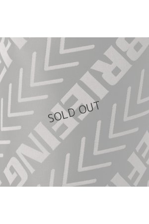 画像7: {SOLD}ブリーフィング ゴルフ BRIEFING BIAS LOGO JQ ICE BAG{-BES}