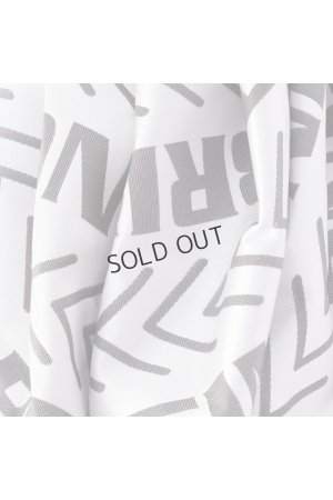 画像8: {SOLD}ブリーフィング ゴルフ BRIEFING BIAS LOGO JQ ICE PACK{-BES}