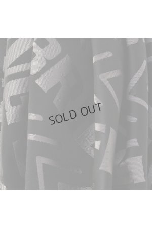 画像4: {SOLD}ブリーフィング ゴルフ BRIEFING BIAS LOGO JQ ICE PACK{-BES}