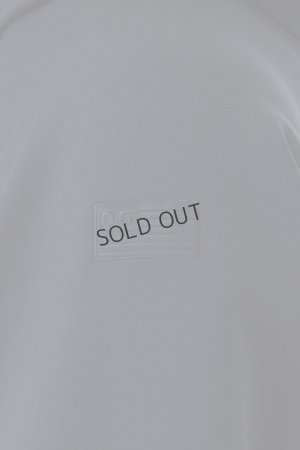 画像7: {SOLD}ブリーフィング ゴルフ BRIEFING MEN'S 3D LOGO PARKA{-BES}