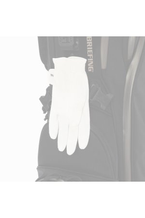 画像17:   ブリーフィング ゴルフ BRIEFING CR-4 #04 METALLIC{-BEA}