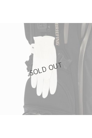 画像17: {SOLD}ブリーフィング ゴルフ BRIEFING CR-4 #04 METALLIC{-BEA}