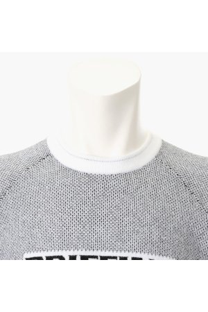 画像3: 【 20%OFF セール29,700円→23,760円】 ブリーフィング ゴルフ BRIEFING MEN’S BIRDS EYE LOGO CREWNECK KNIT{-BEA}