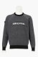 画像1: ブリーフィング ゴルフ BRIEFING MEN’S BIRDS EYE LOGO CREWNECK KNIT{-BEA} (1)
