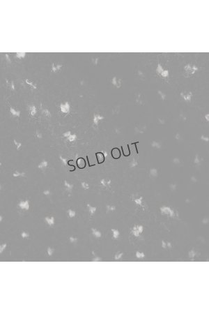 画像7: {SOLD}ブリーフィング ゴルフ BRIEFING HOL WOMEN’S FAIR ISLE CREWNECK KNIT{-BEA}