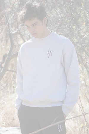 画像4:   LOCAL AUTHORITY ローカルオーソリティ LA SLASH CREW NECK FLEECE{-BDA}