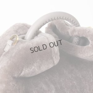 画像3: {SOLD}Elleme エレメ SMALL RAISIN{EL192DASRAISNRNG-TUP-AIA}