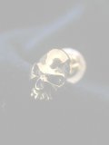  {SOLD} haraKIRI ハラキリ 髑髏ピアス{-}