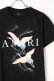 画像3: {SOLD}AMIRI アミリ Crane Tee{-AIA} (3)