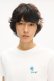 画像6: KENZO ケンゾー KENZO Tulip' エンブロイダリー スリム Tシャツ イン コットン{-BFA} (6)
