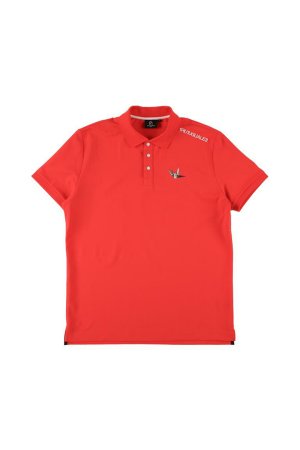 画像5: 1PIU1UGUALE3 GOLF ウノピゥウノウグァーレトレ ゴルフ KANOKO POLO{-BFS}