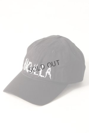 画像1: {SOLD}Haculla ハキュラ THUNDER HACULLA DAD HAT{-AIA}