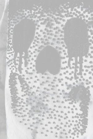 画像5:   Haculla ハキュラ SKULL MYSTERY HOODIE{-BJA}