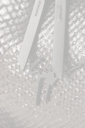 画像4:   GIUSEPPE ZANOTTI ジュゼッペザノッティ Bud{-BBA}