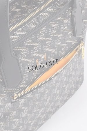 画像10: {SOLD}レザレクション｜Resurrection ラニウス ミニ No.2{-BES}