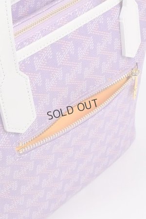 画像9: {SOLD}レザレクション｜Resurrection ラニウス ミニ No.2{-BDS}