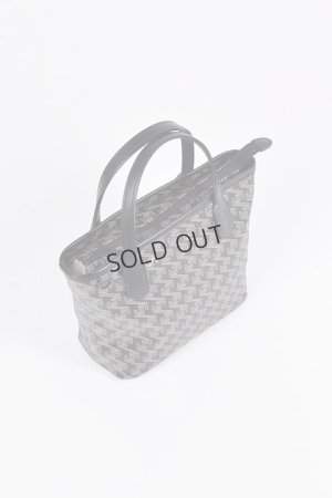 画像9: {SOLD}レザレクション｜Resurrection ラニウス ミニ No.2{-BDA}