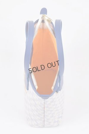 画像7: {SOLD}レザレクション｜Resurrection ラニウス ミニ No.2{-BDS}