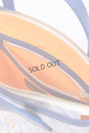 画像8: {SOLD}レザレクション｜Resurrection ラニウス ミニ No.2{-BDS}