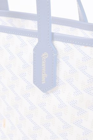 画像9:  {SOLD} レザレクション｜Resurrection ラニウス ミニ No.2{-BDS}
