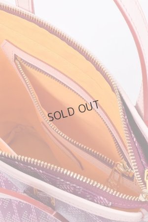 画像8: {SOLD}レザレクション｜Resurrection ラニウス ミニ No.2{-BDS}