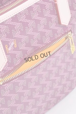 画像10: {SOLD}レザレクション｜Resurrection ラニウス ミニ No.2{-BDS}