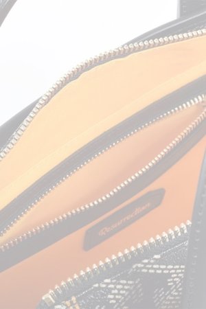 画像8:  {SOLD} レザレクション｜Resurrection ラニウス スクエア ミニ No.2{-BDS}