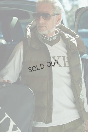 画像4: {SOLD}LUXEAKMPLUS リュクスエイケイエムプラス ゴルフ Vネックスニードジャック{-BDA}