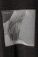 画像3: NAPE_ ネイプ NINE INCH NAILS / LSC{-BFA} (3)