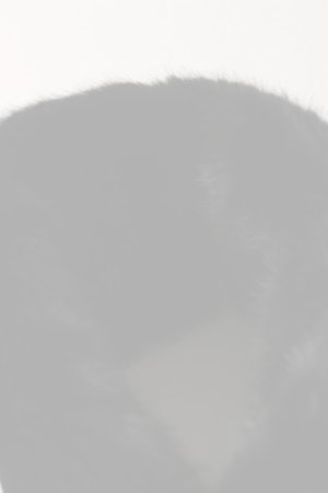 画像5:  {SOLD} MARK & LONA マークアンドロナ Svastika Fur Earmuffs | MEN and WOMEN{-BEA}