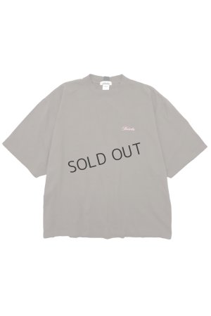 画像1: {SOLD}mindseeker マインドシーカー Script Logo Embroidery BIG TEE{-BDS}