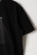 画像8: MOD WAVE MOVEMENT モッドウェイブムーブメント WINGS T-SHIRT{-BES}
