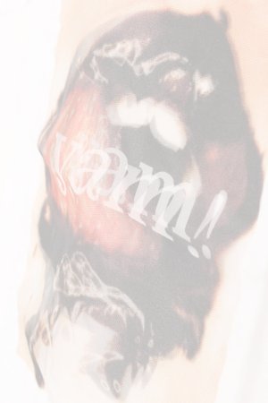 画像4:  {SOLD} maxsix マックスシックス 3D T yam!{-AHS}