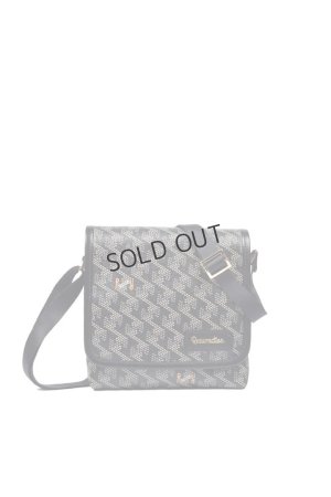 画像1: {SOLD}レザレクション｜Resurrection パロット No.2{-BES}