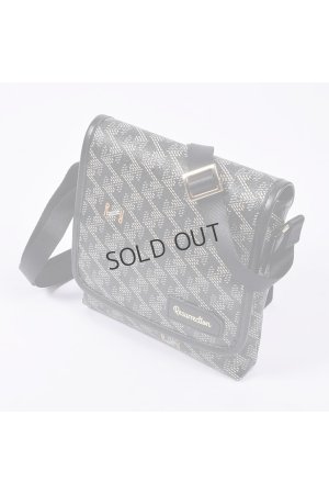 画像2: {SOLD}レザレクション｜Resurrection パロット No.2{-BES}